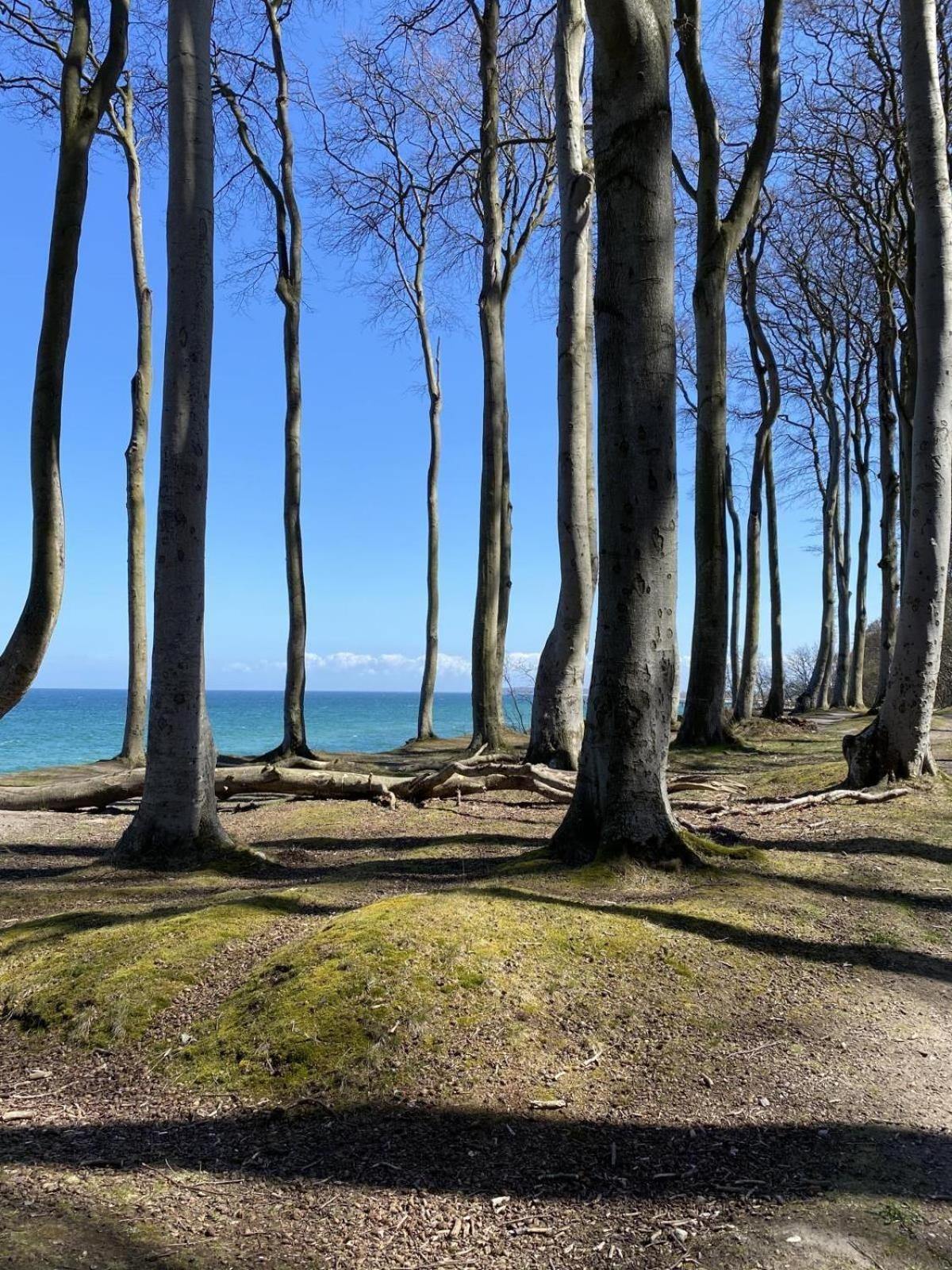 Residenz-Strandstrasse-14-Wohnung-16 Ostseebad Kühlungsborn 外观 照片